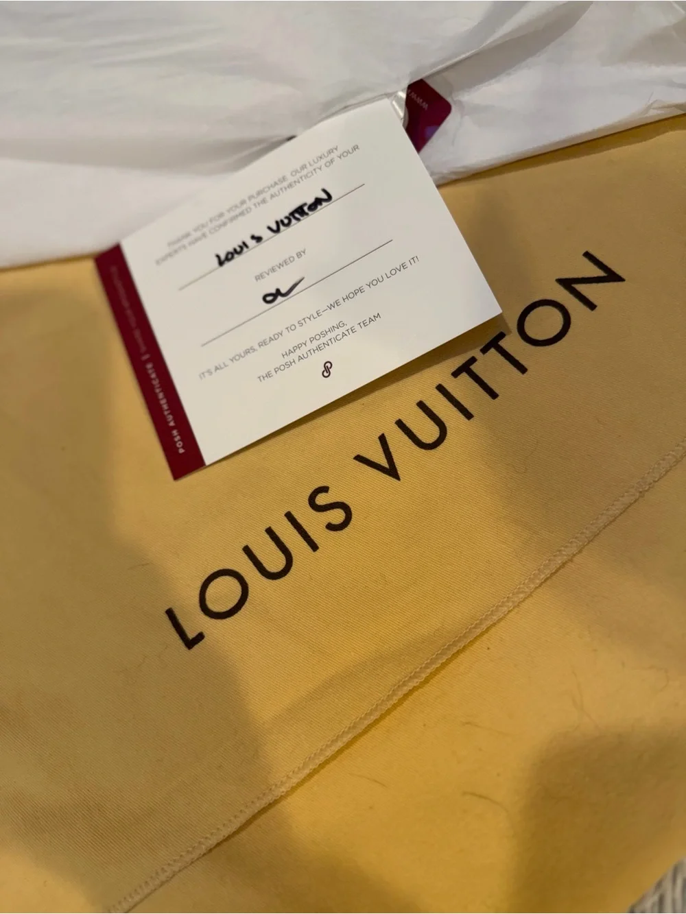 Louis Vuitton Delightful PM